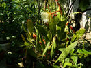 DSCN3670
