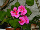 DSCN3678