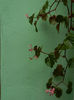 DSCN2981