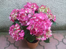 DSCF1903