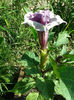 20130620_174455