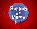 schimb-de-mame-prezentare_resize