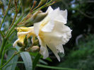 P1018417
