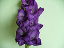 P1450204