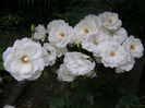 P1018381