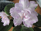 349 Kristi-s Spunk