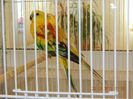 DSCN2357