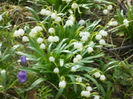 DSCN0633