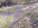 DSCN0639