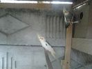 2013-06-21 15.59.37