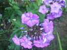 DSCF1910