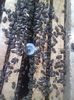 apicultura 042