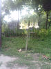P210613_21.030001