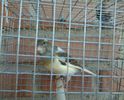 20130602_182404
