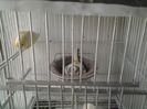 20130601_190212