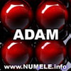 002-ADAM avatare cu nume
