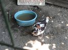 DSC01253