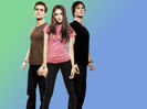 tvd (17)