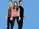 tvd (18)