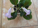 DSCF0043