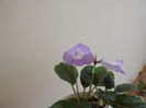 DSCF0045