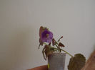 DSCF0046