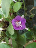 DSCF0087