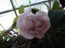 DSCF0079