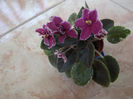 DSCF0097