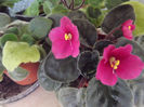 DSCF0083