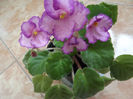 DSCF0085