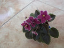 DSCF0094