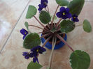 DSCF0092