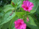 DSCN2883[1]