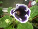 DSCN2897[1]