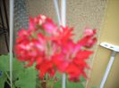 DSCN2899[1]