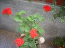 DSCN2911[1]