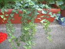 DSCN2912[1]
