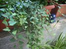 DSCN2913[1]