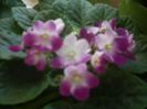 DSCN2917[1]