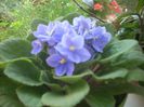 DSCN2918[1]