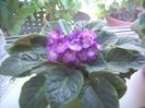 DSCN2922[1]