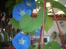 DSCN2927[1]