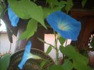 DSCN2926[1]