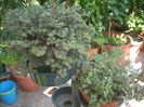 DSCN2931[1]