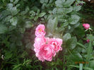 P6230143