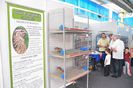 expo transilvania prepelite japoneze pui stand expozitie prepelite cluj _3594
