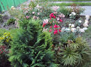 DSC06159