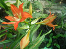 DSCN4475