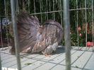 IMG01534-20130623-1733